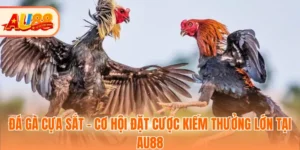 Đá Gà Cựa Sắt